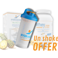 Pack récup ananas 2